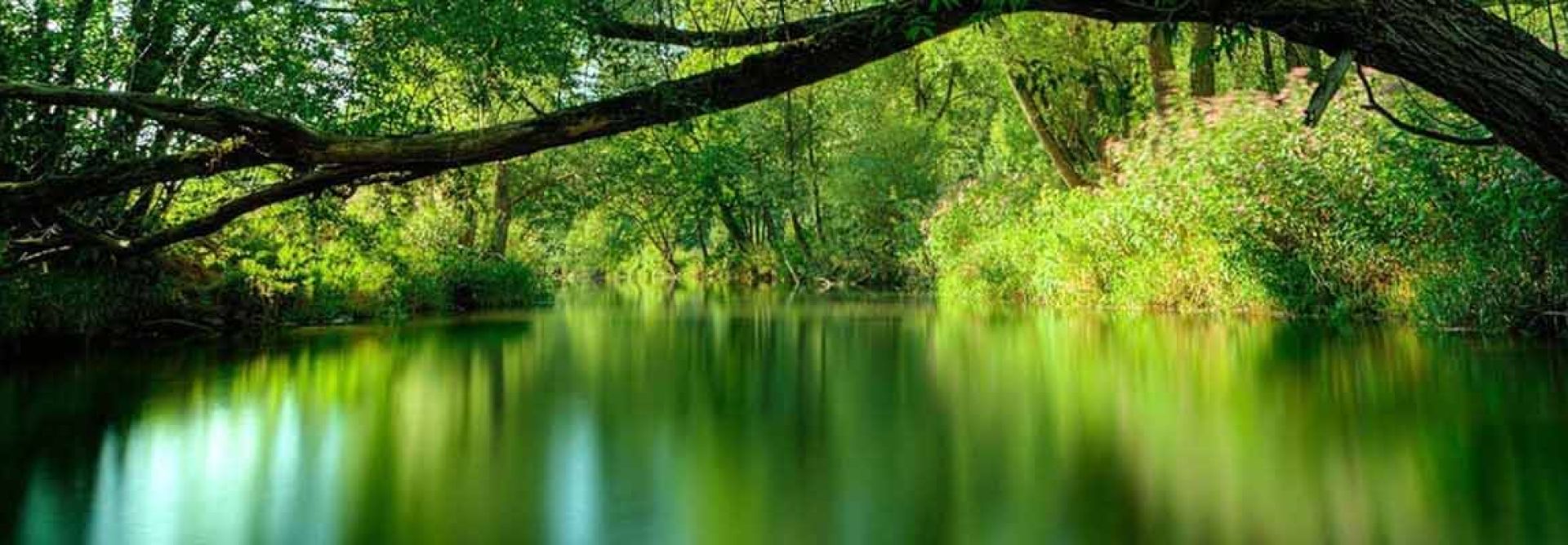 Gauja National Park, Latvia