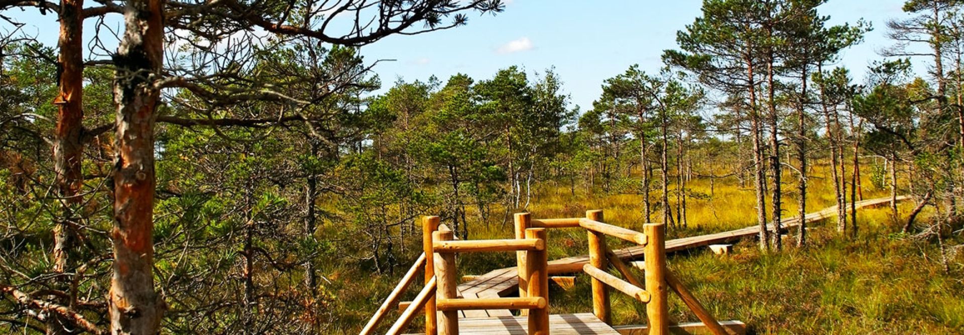 Kemeri National Park, Latvia
