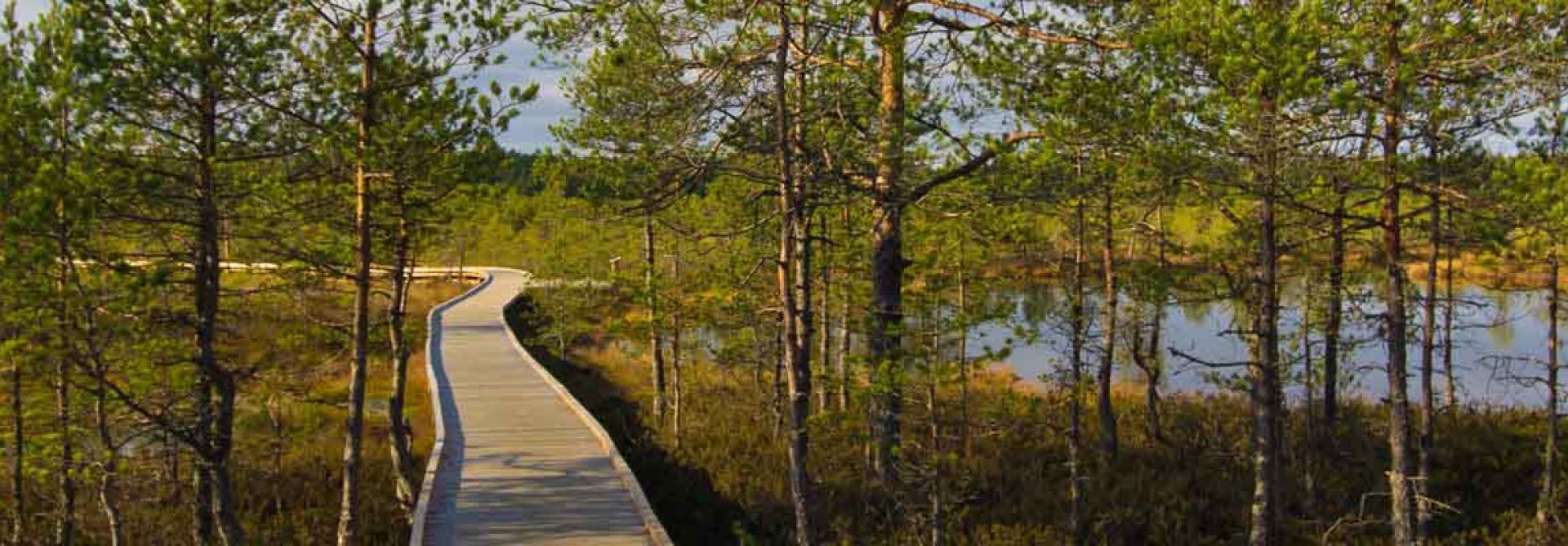 Lahemaa National Park, Estonia