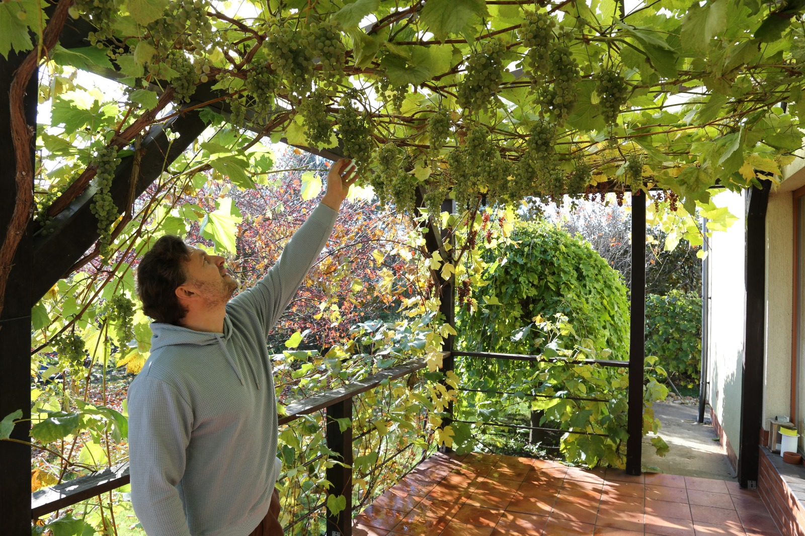Northern Terroir: Unexpected wine discoveries
